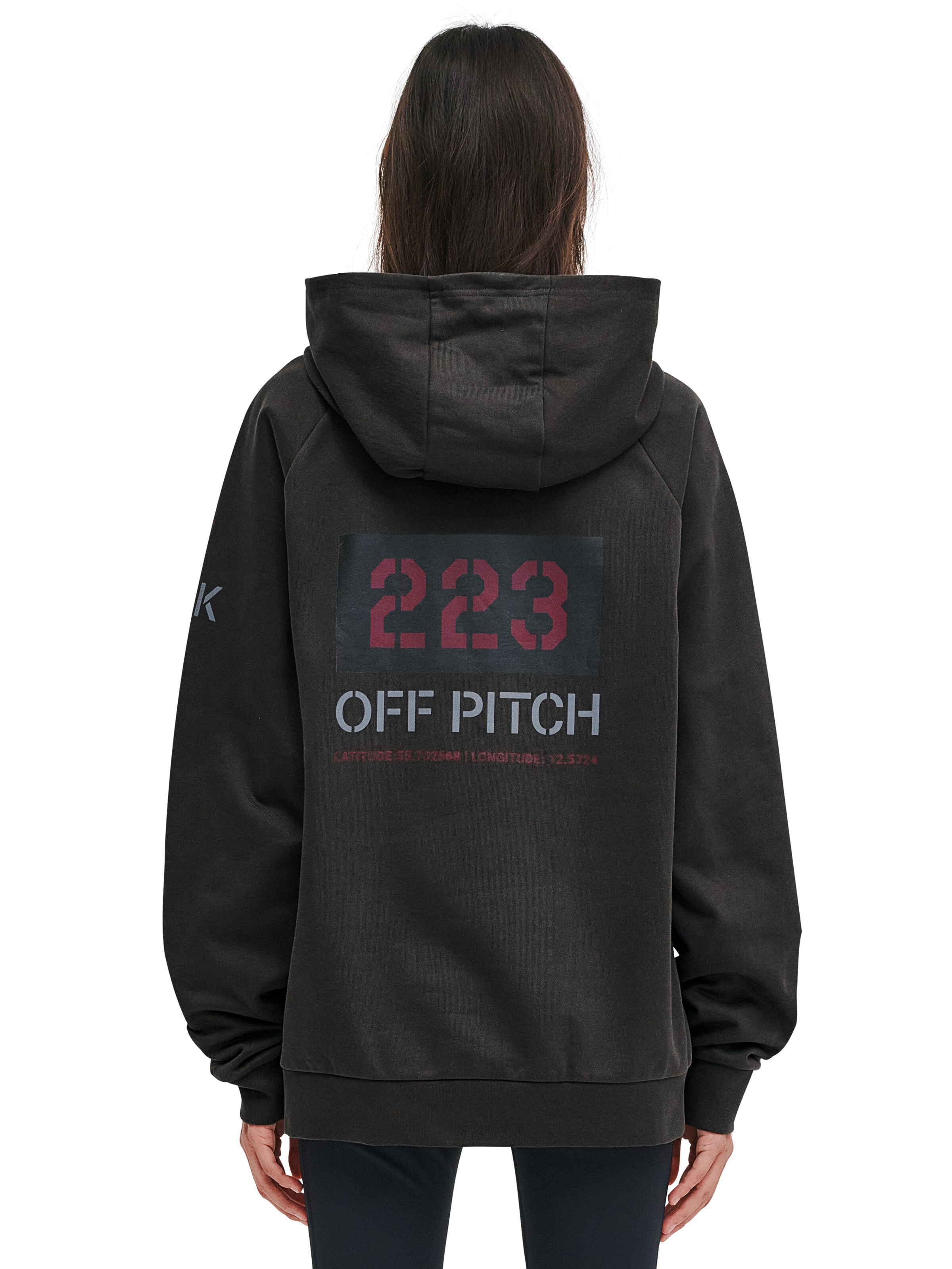 HALO Sweatshirt in Grey