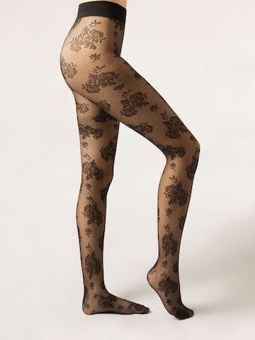 CALZEDONIA Tights in Black
