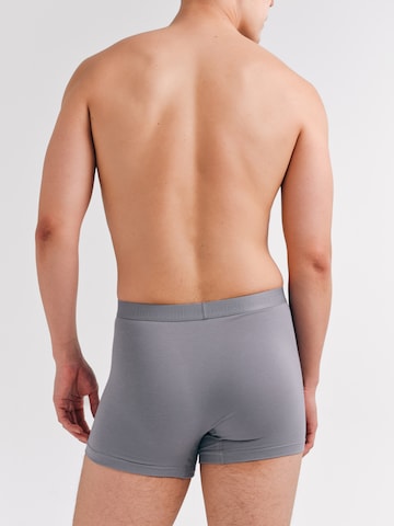 Erlich Textil Boxershorts 'Casual Cotton' in Grau