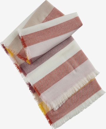 CODELLO Scarf in Mixed colours