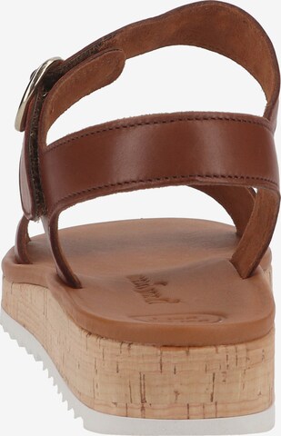 Paul Green Sandals in Brown