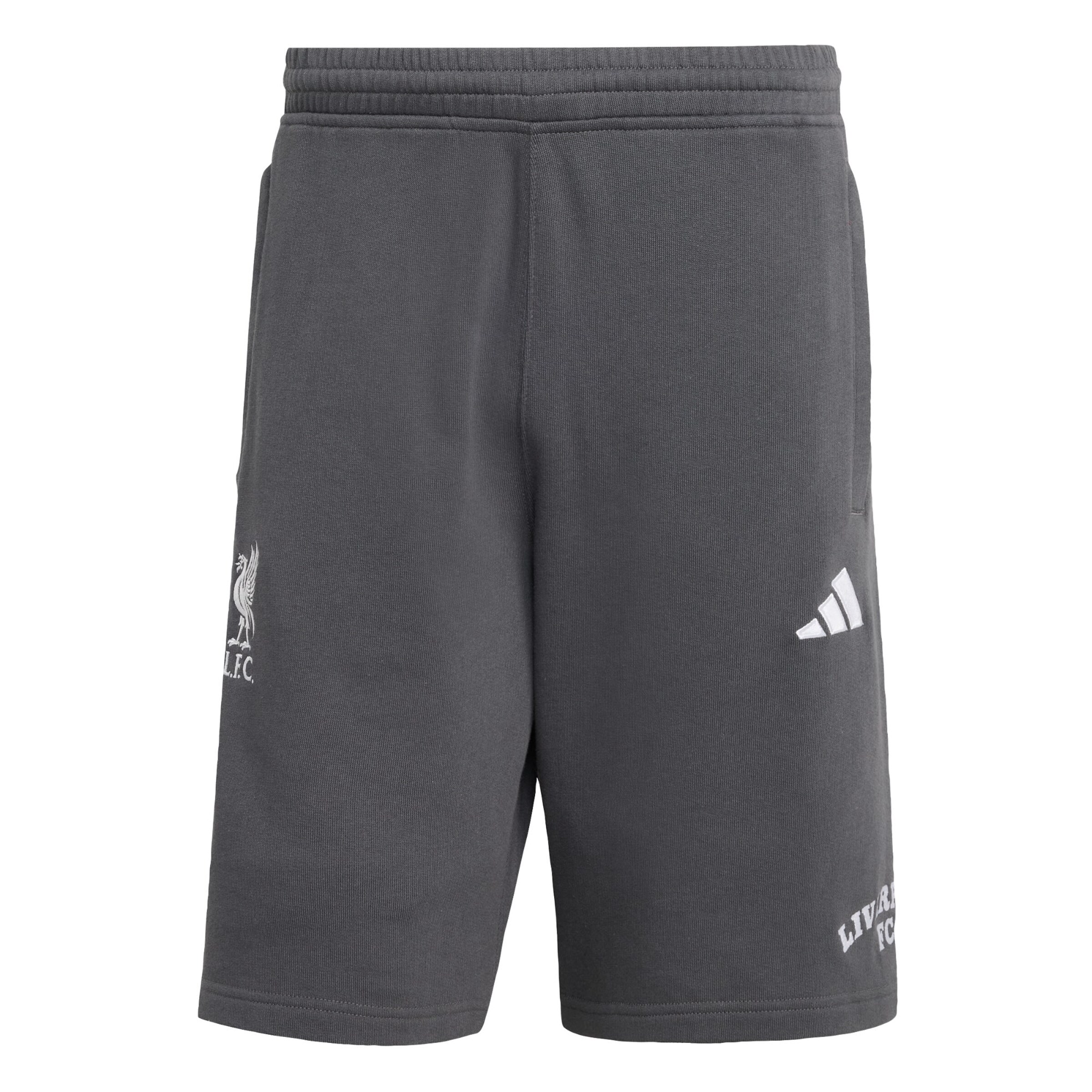 regular Pantaloni 'FC Liverpool US' di ADIDAS ORIGINALS in grigio: frontale