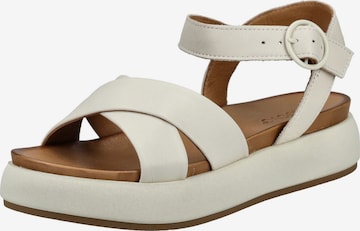 INUOVO Sandale in Beige: Vorderseite