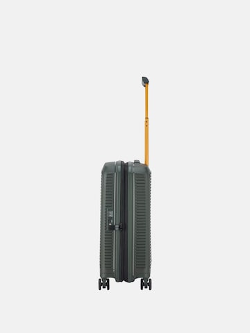 Roncato Wózek 'RONCATO TROLLEY CABINA 4R EXP. ARCADE Valigie e Trolley' w kolorze zielony
