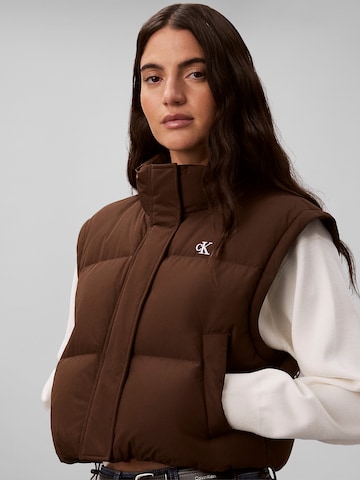 Calvin Klein Jeans Regular Jacke in Braun
