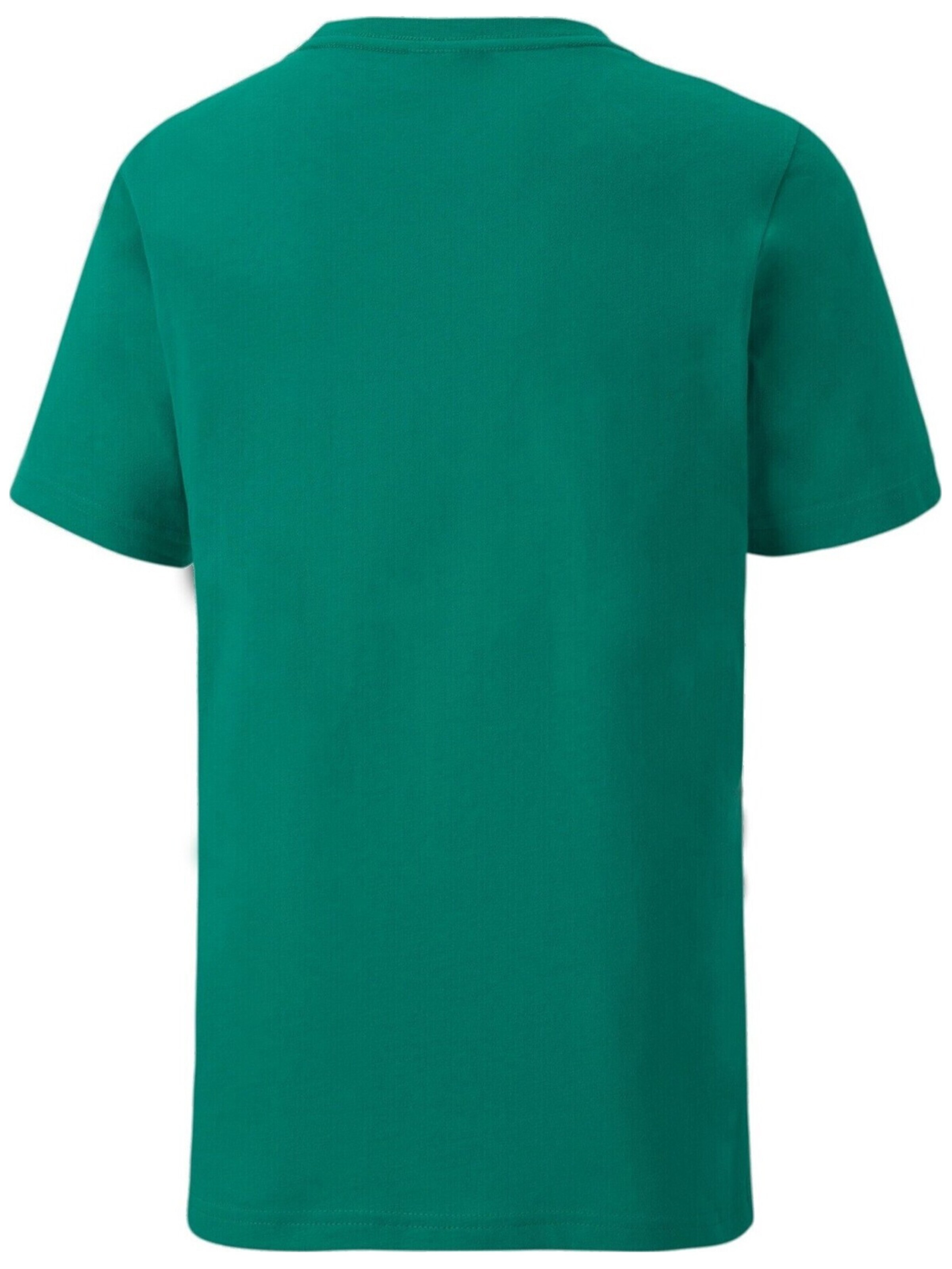PUMA - Camiseta 'Puma Teamgoal 23' en verde