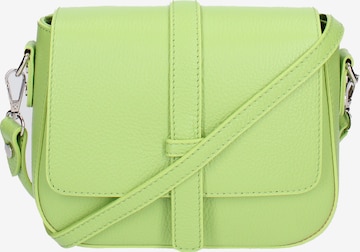Roberta Rossi Crossbody Bag in Green: front