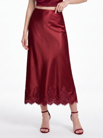 TorWeit Rok in Rood