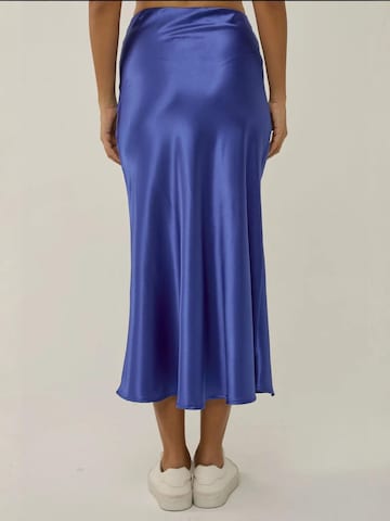 Hiccup Rok in Blauw