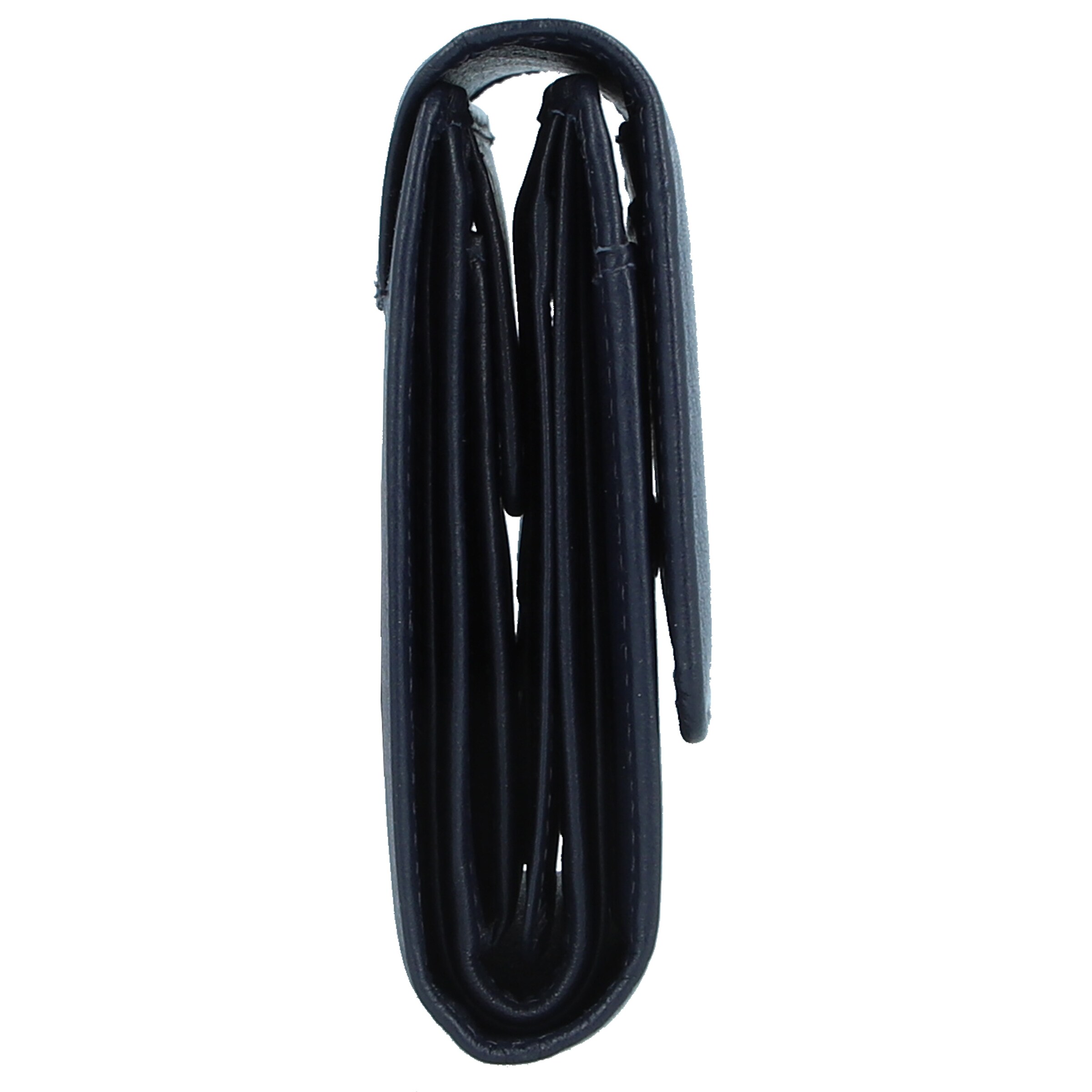 Esquire Wallet 'Viktoria' in Blue