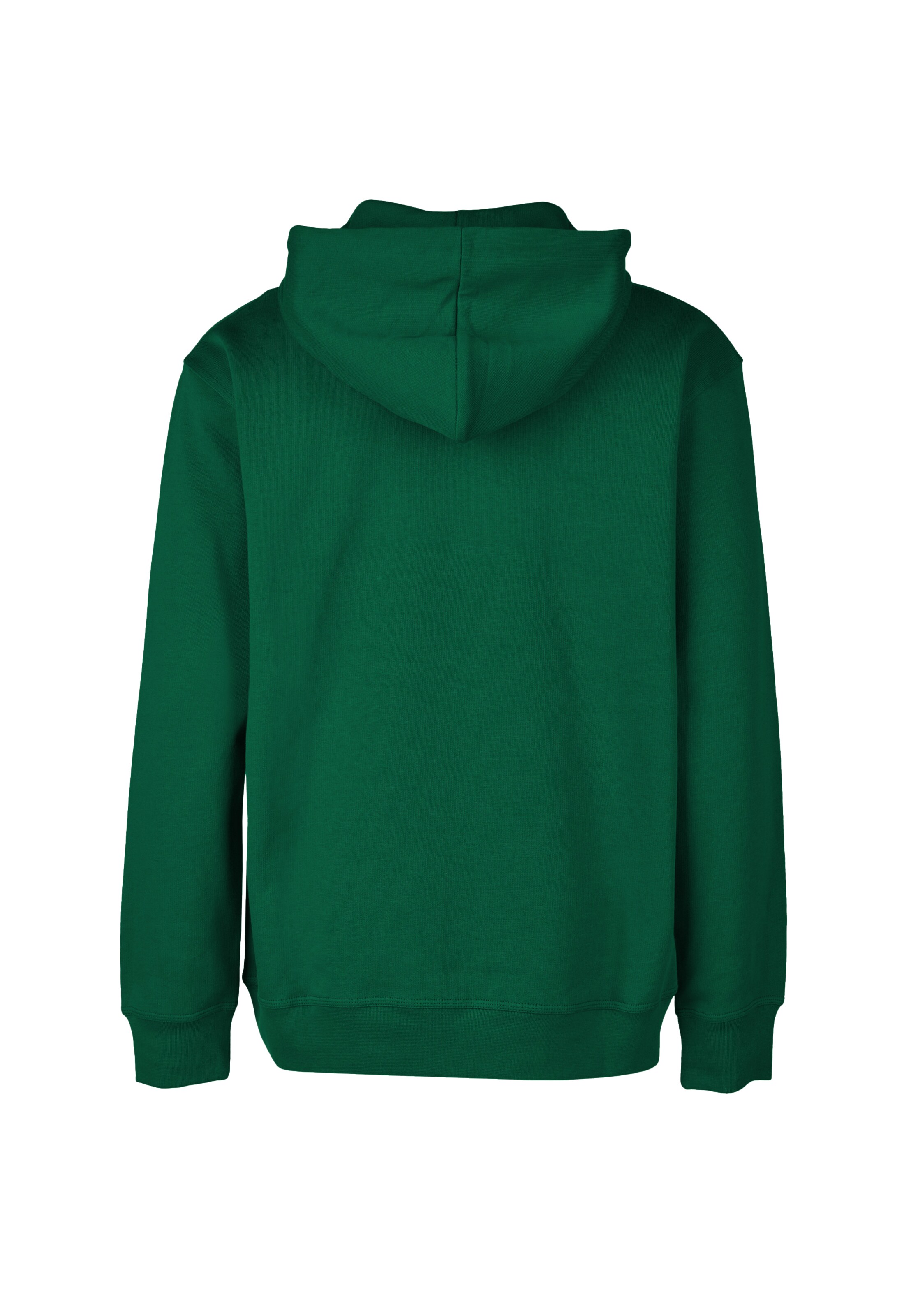 Cleptomanicx Kapuzenpullover 'Boxy Hooded WTFISH' in Grün