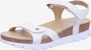 Sandales 'Sandalette Damen Sulia Basics B1 Echtleder in weiß' PANAMA JACK en blanc : devant
