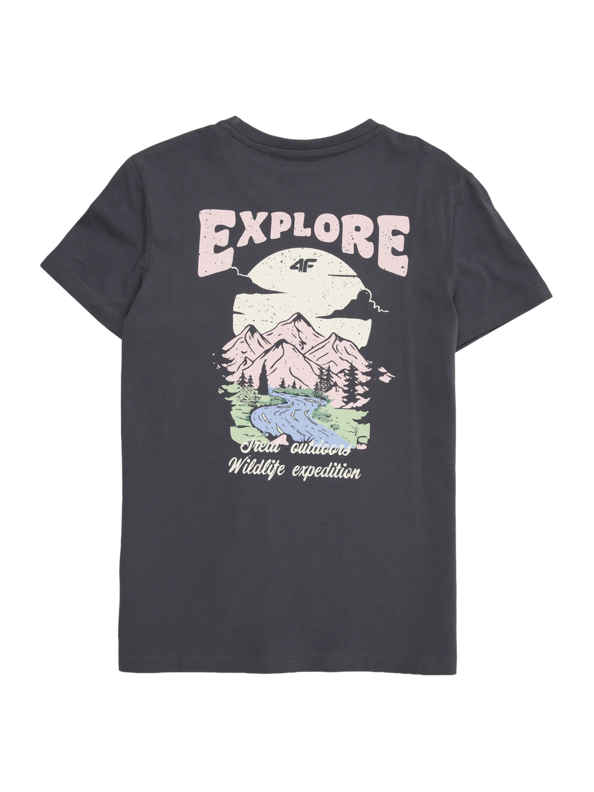 4F Junior Funkcionalna majica | siva barva