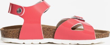 Bayton - Sandalias 'Pegase' en rojo