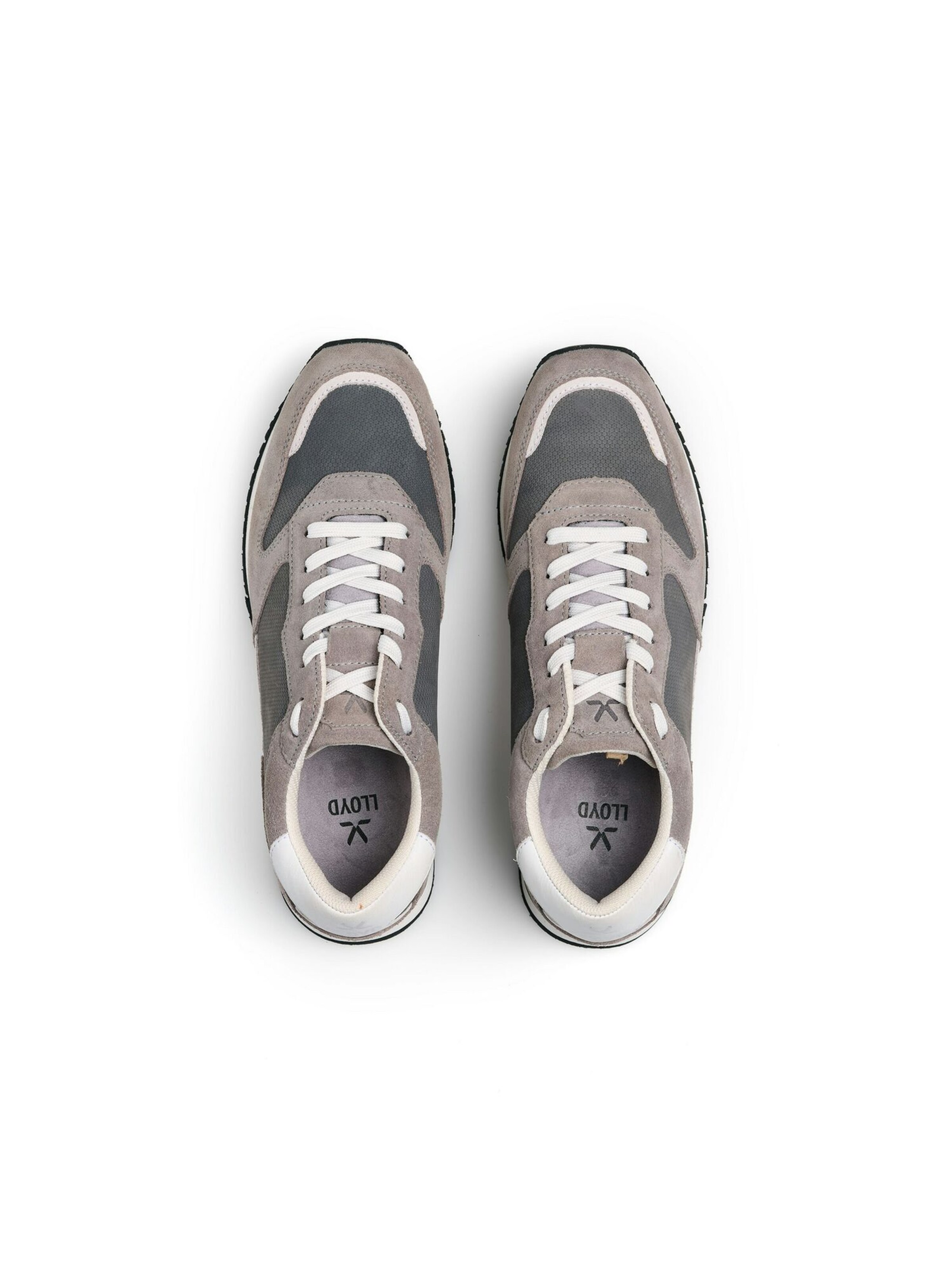 Sneaker bassa 'Swift' di LLOYD in grigio