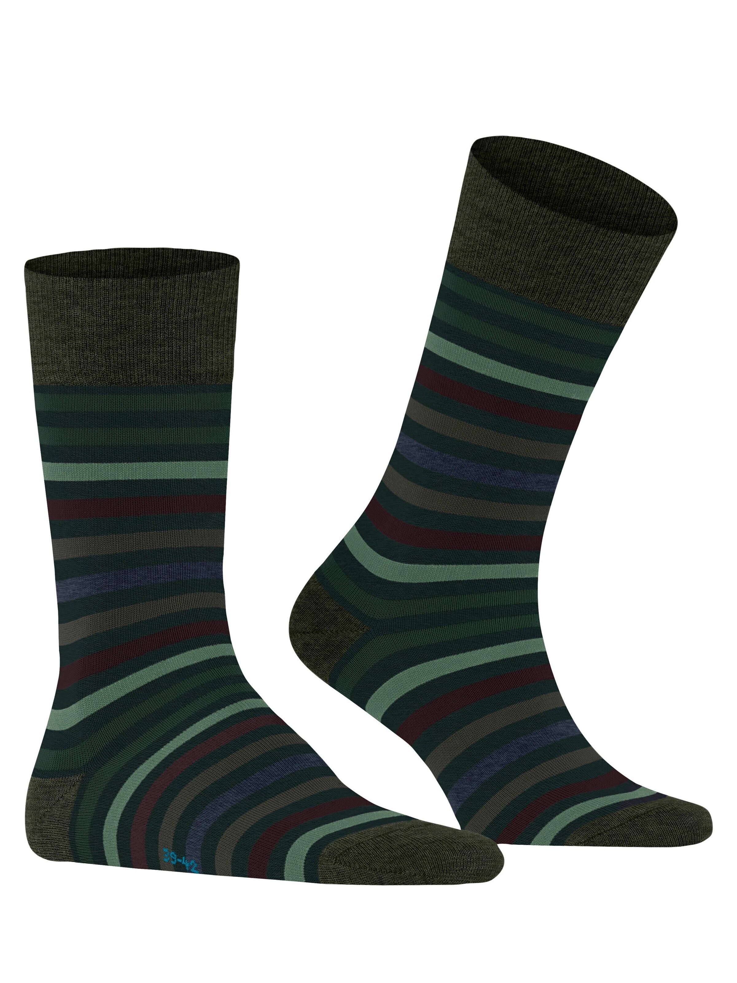 FALKE Socks 'Tinted Stripe' in Green