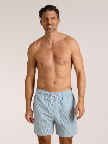 wavebreaker Board Shorts in Green