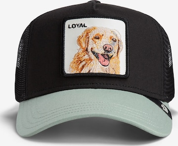 GOORIN Bros. Cap 'The Loyal Dog' in Schwarz: Vorderseite