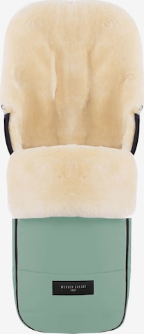 Werner Christ Baby Stroller Accessories 'FLIMS' in Blue: front