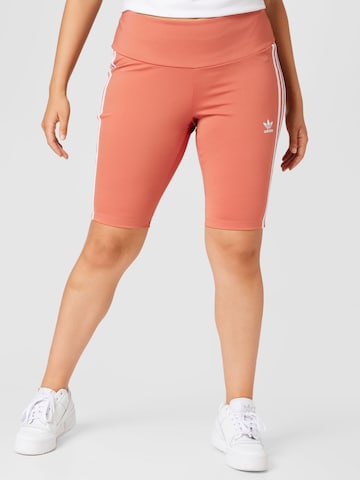 ADIDAS ORIGINALS Shorts in Orange: predná strana