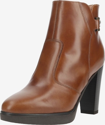 Bottines Nero Giardini en marron : devant