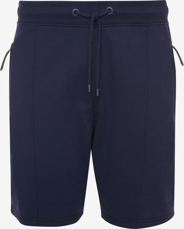 Threadbare Regular Broek 'Whyte' in Blauw: voorkant