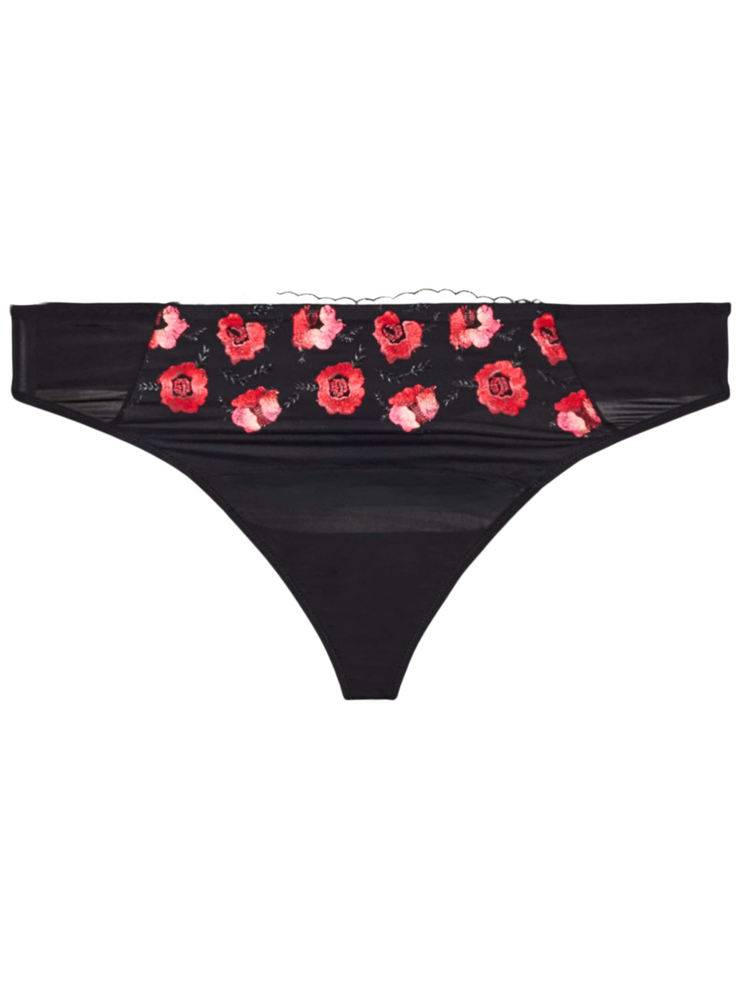 Devoted by Zizzi String 'Lisandra' in Schwarz: Vorderseite
