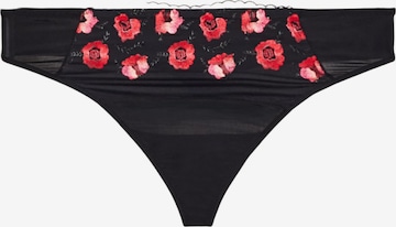 Devoted by Zizzi String 'Lisandra' in Schwarz: Vorderseite