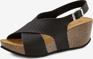 LASCANA - Sandalias en negro: frente