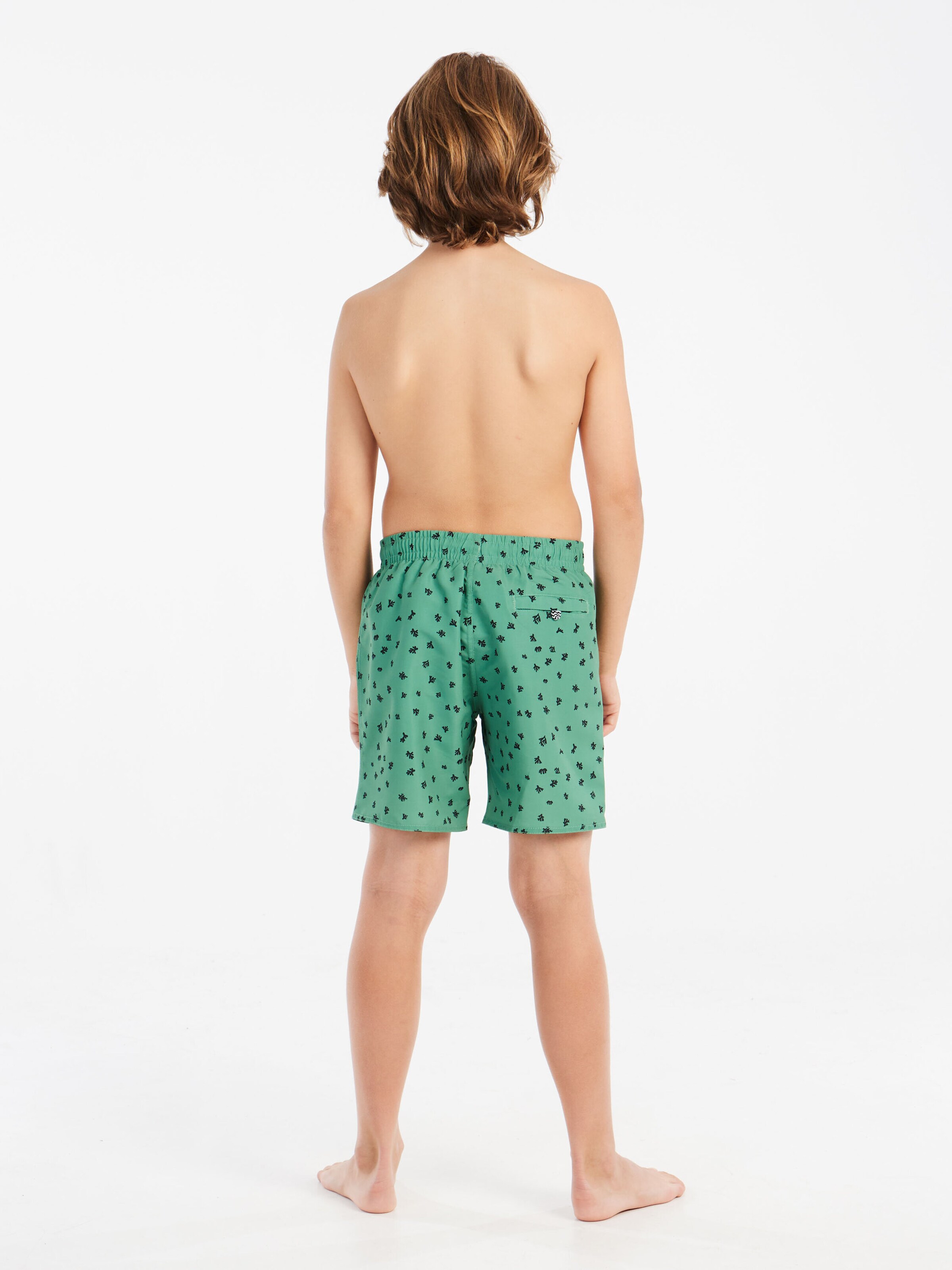 PROTEST Board Shorts 'PRTTyson JR' in Green