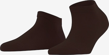 FALKE Ankle Socks 'Family' in Brown: front