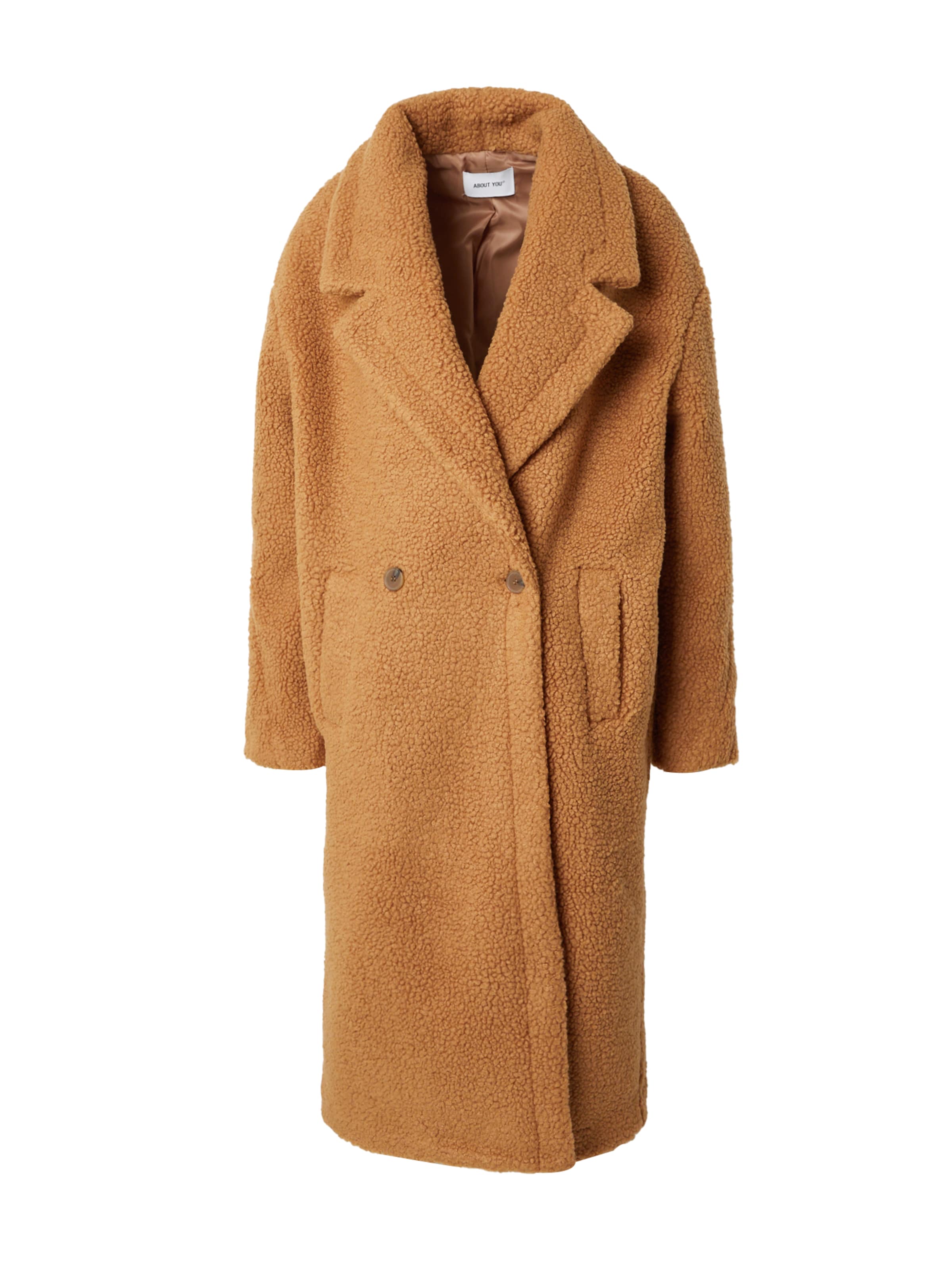 Cappotto invernale 'Eva' di ABOUT YOU in marrone: frontale