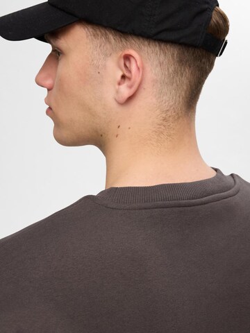 SELECTED HOMME Свитшот 'SLHREG-DAN' в Коричневый