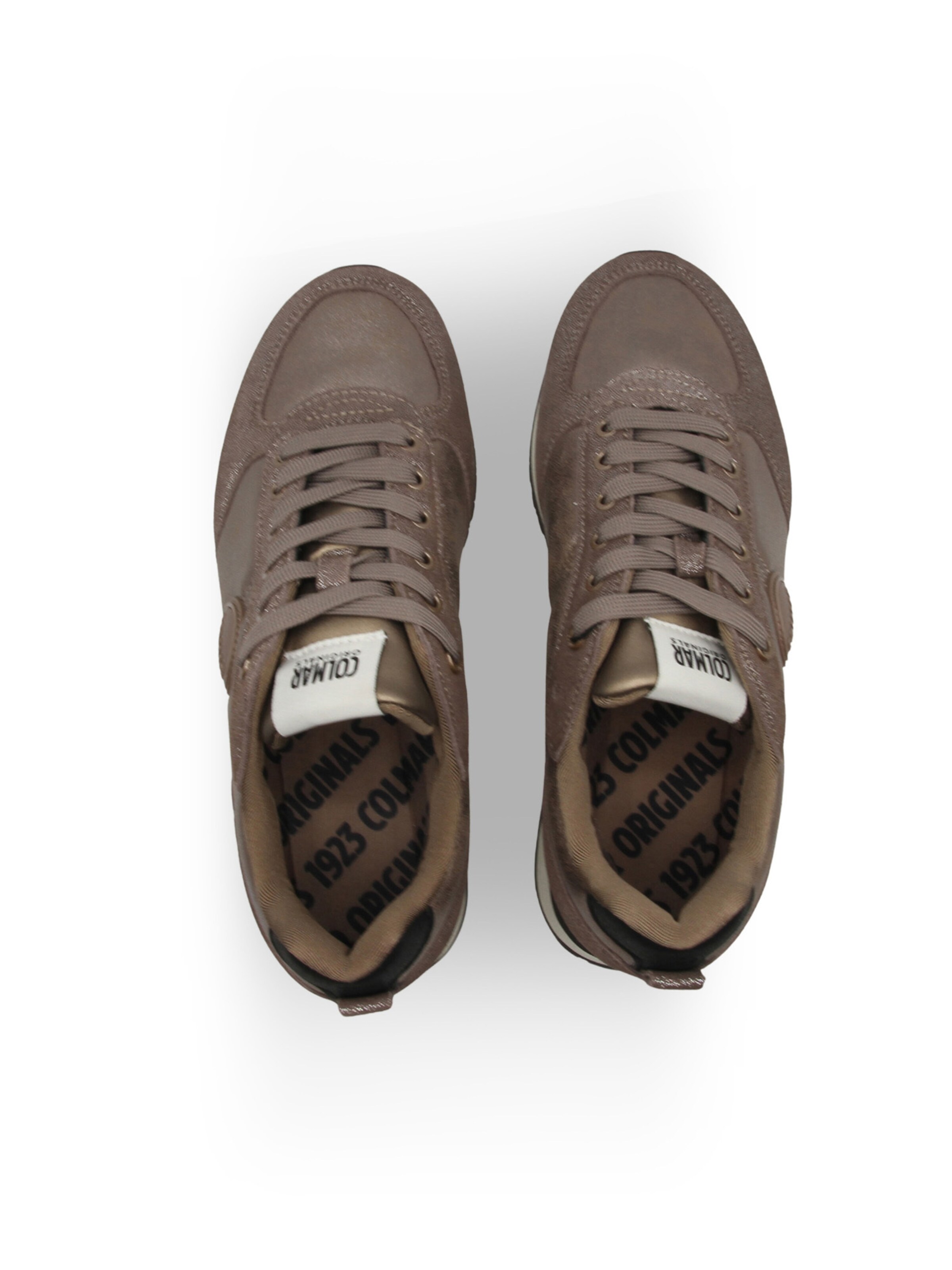 Baskets basses 'Travis Punk' Colmar en gris : au dessus