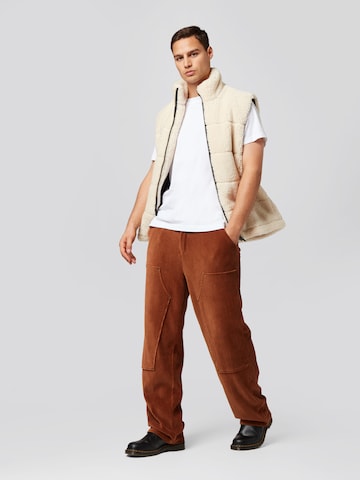 ABOUT YOU x Rewinside Regular Pants 'Felix' in Brown