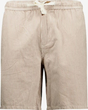 Loosefit Pantalon 'Alonso' Deeluxe en marron : devant