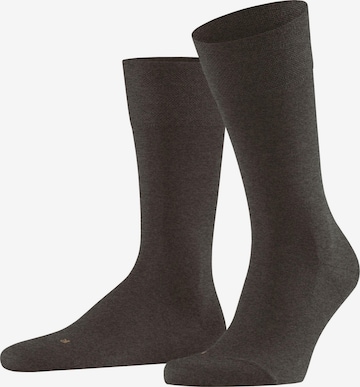 FALKE Socken 'Sensitive Berlin' in Braun: Vorderseite