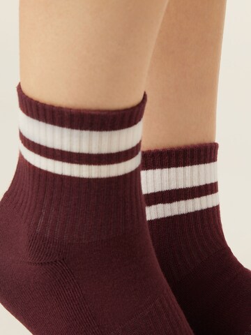 CALZEDONIA Socks in Red