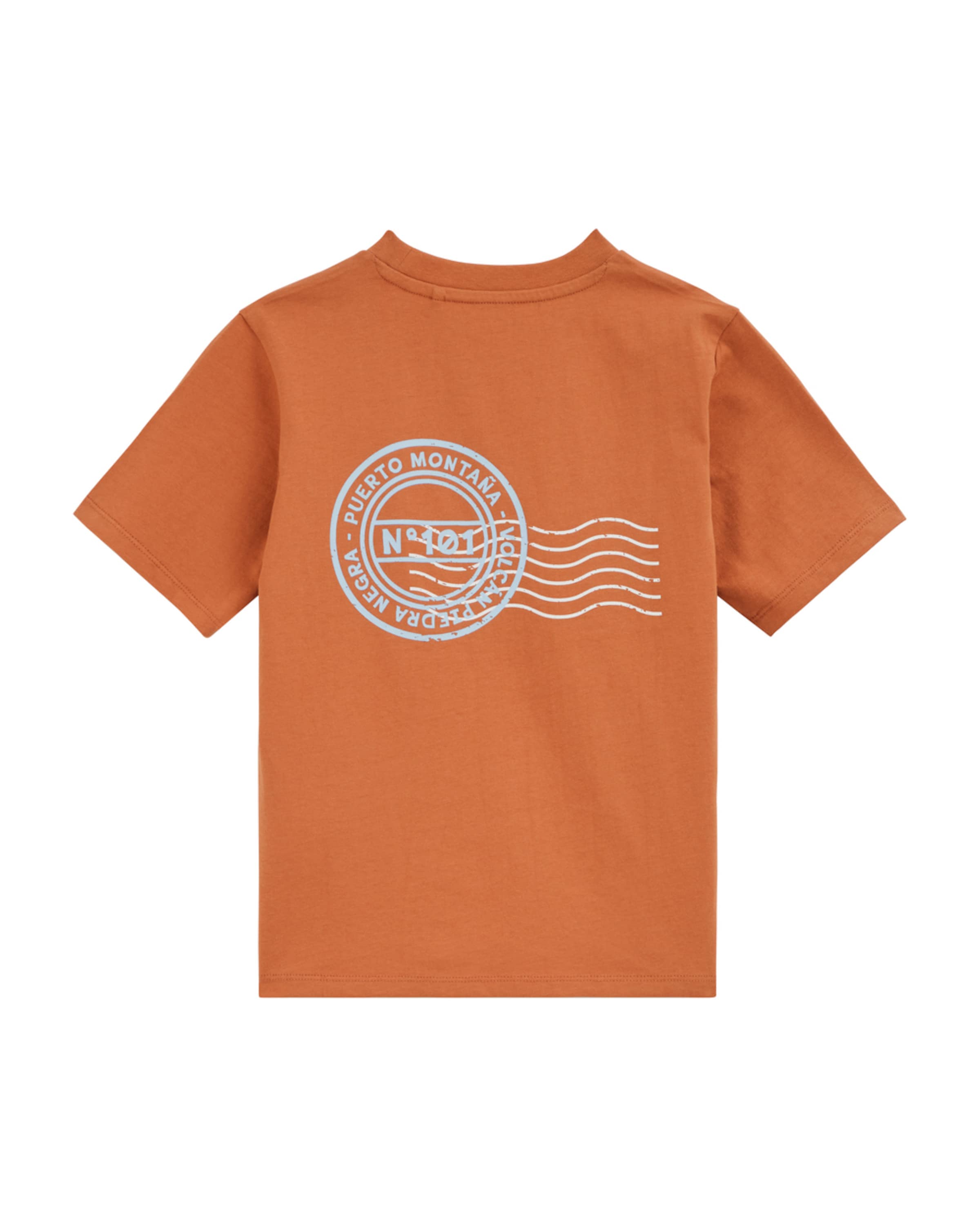 WE Fashion Shirt in Oranje