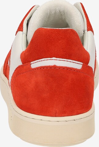 SIOUX Sneakers laag 'Tedroso-704' in Rood