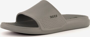 REEF Mules 'Oasis Slide' in Grey: front