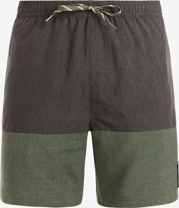 PROTEST Badeshorts 'PRTCabus' in Grün: Vorderseite