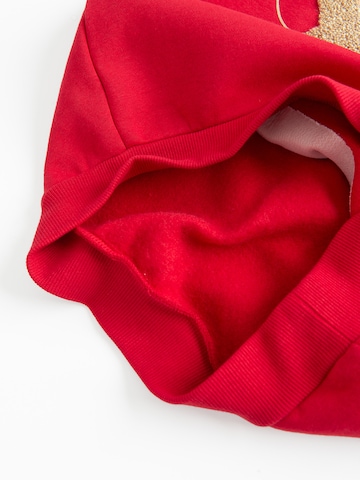 Cool Club Sweatshirt in Rot