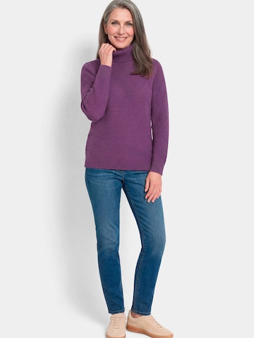 Goldner Sweater in Purple
