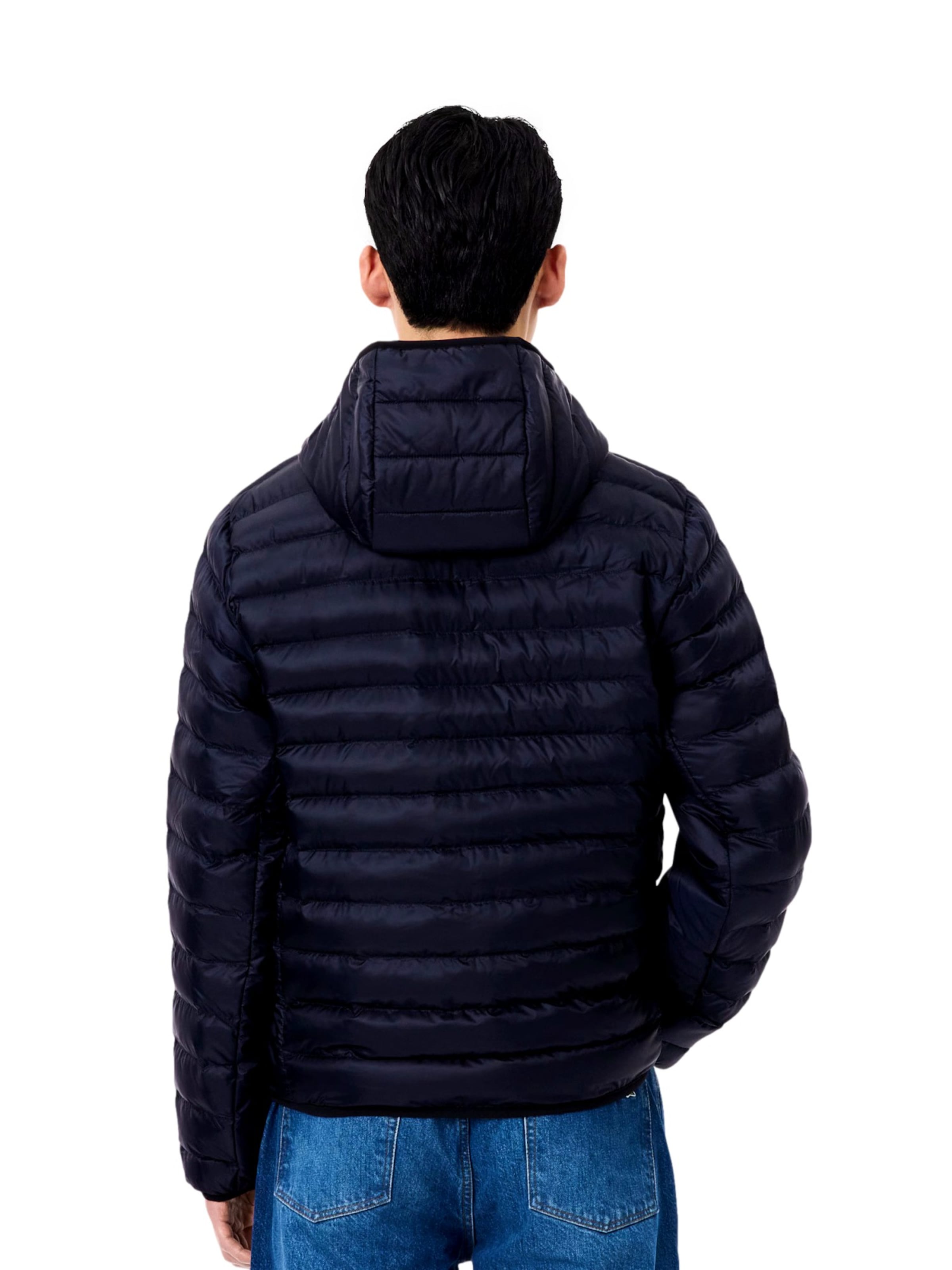 Giacca invernale di LACOSTE in blu