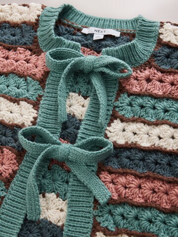 Next Gebreid vest in Blauw