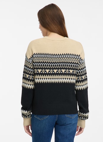 Ragwear Sweater in Brown