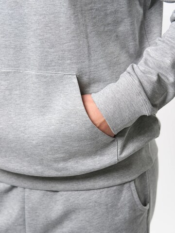 U.S. POLO ASSN. Sweatshirt 'Brayden' i grå