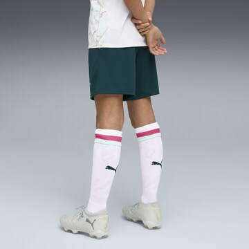 PUMA Regular Sports trousers 'Österreich 2026' in Green