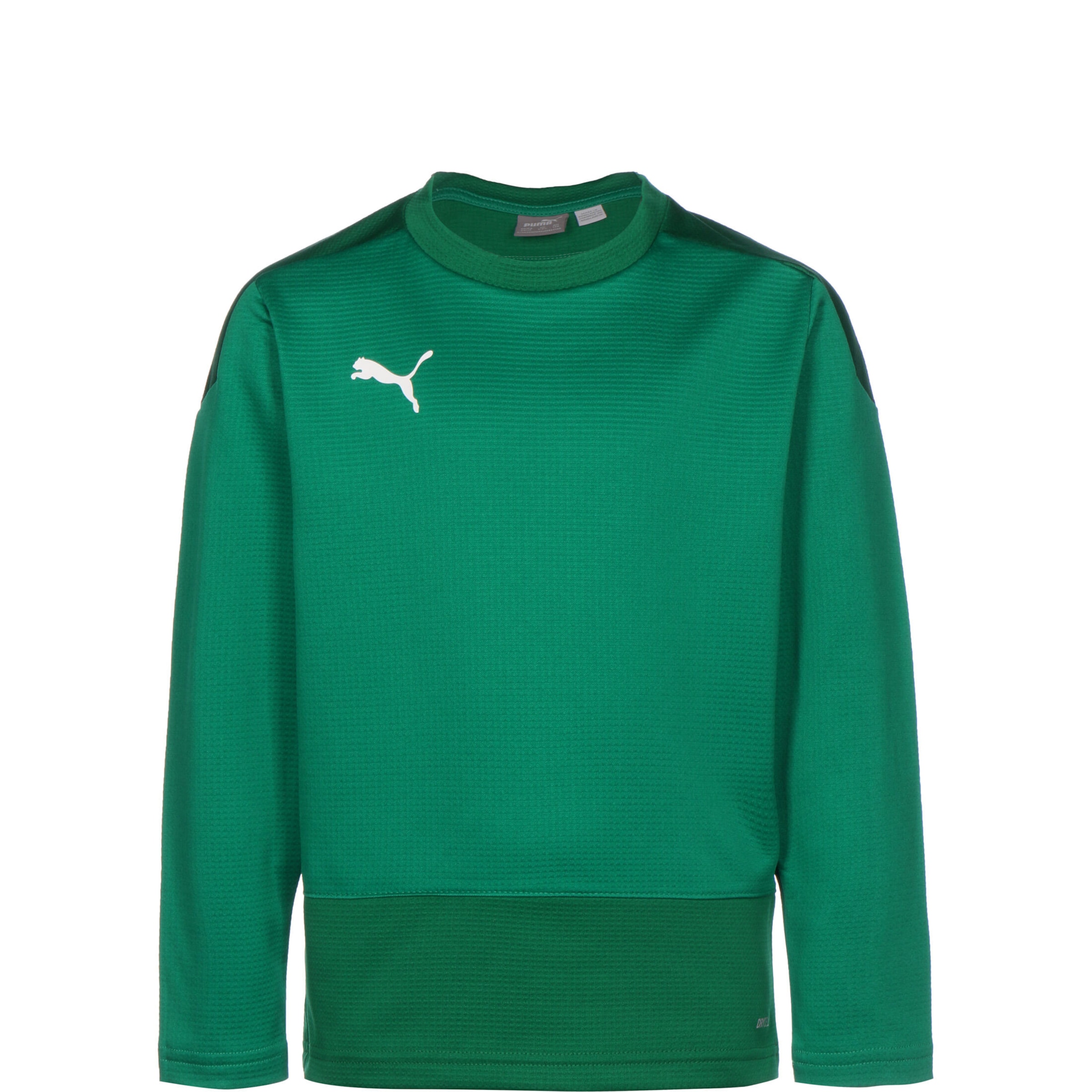 PUMA Sportsweatshirt 'Team Goal 23' in Grün: Vorderseite